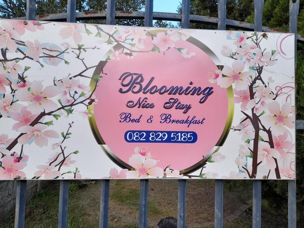 Blooming Nice Stay 哈里史密斯 外观 照片